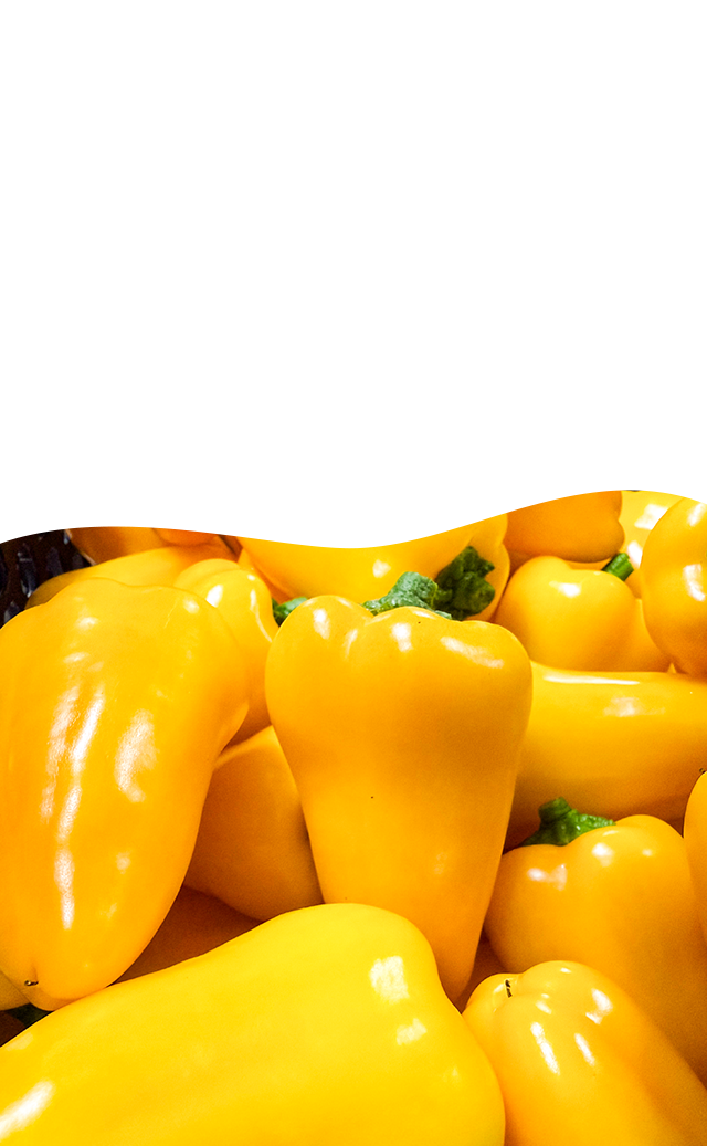 知内しらたふぁーむが贈る、生命力あふれる「本物の味」「こんなに美味しい」には、理由がある。