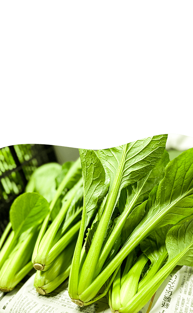 知内しらたふぁーむが贈る、生命力あふれる「本物の味」「こんなに美味しい」には、理由がある。